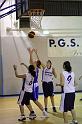 Basket 242031